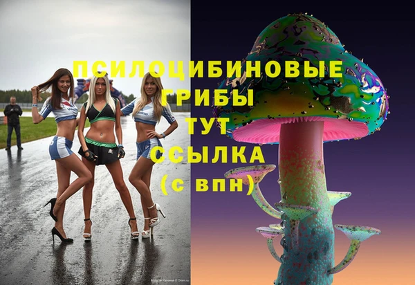 MDMA Белокуриха