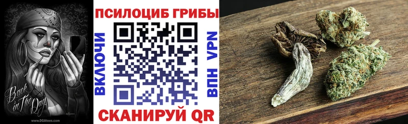 закладки  Красноперекопск  Галлюциногенные грибы мицелий 